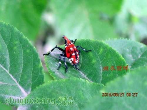 С 2010.06..27 005.jpg