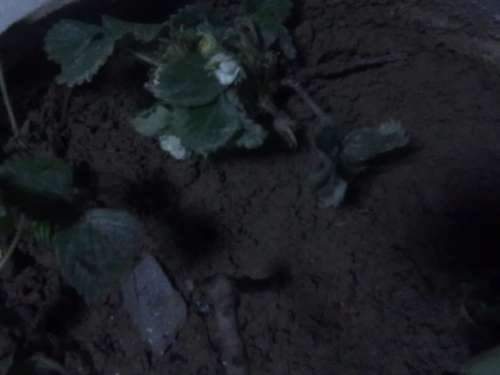 20130311013.jpg