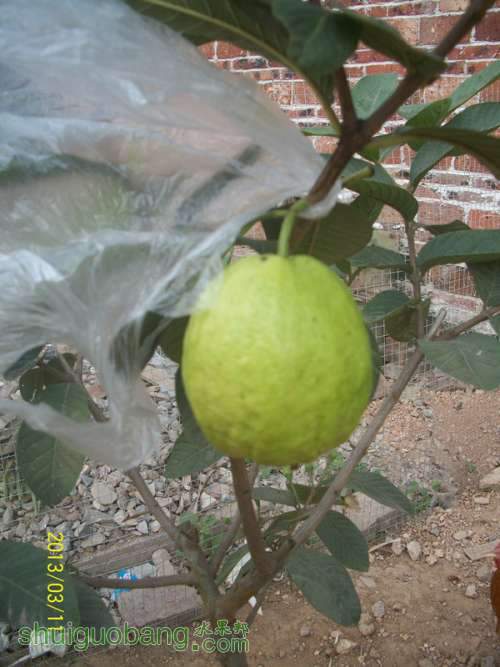 100_2856_.jpg