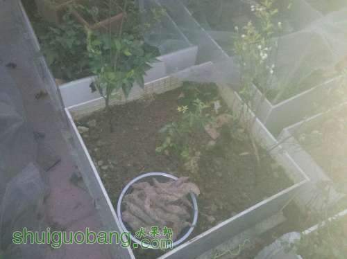2013-03-11_18-50-11_78.jpg