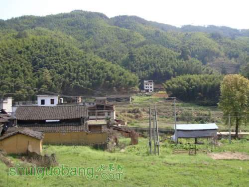 DSC04175_С.JPG
