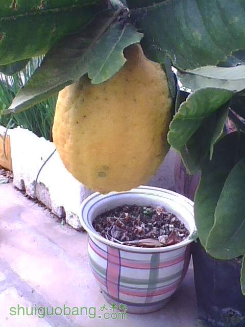 img0213_123138925.jpg