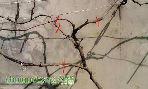 095622y3d0gs1qa5590a2q.jpg