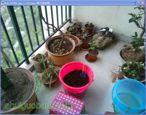 6XR5~LYIZ)SRQ12JTQB]F04.jpg