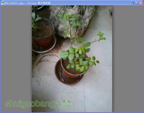 L_MKQEG8UK4(DJ@}460Y]0J.jpg