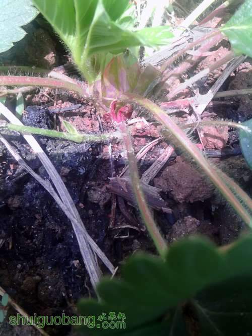 C360_2013-03-16-12-15-46_org.jpg