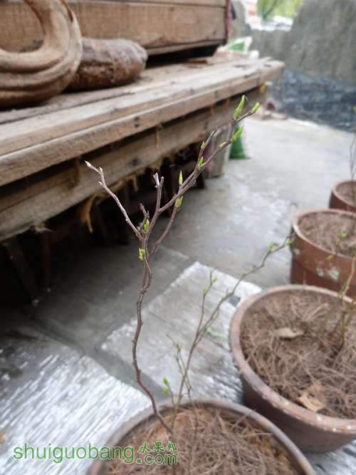P1030742_.jpg