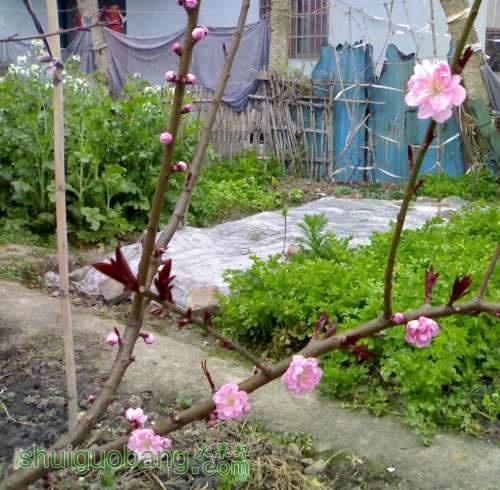 201303161447.jpg