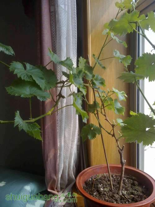 20130316679.jpg