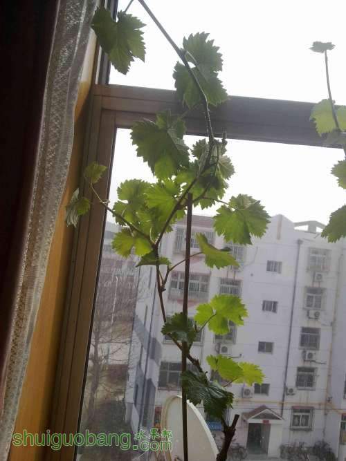 20130316685.jpg