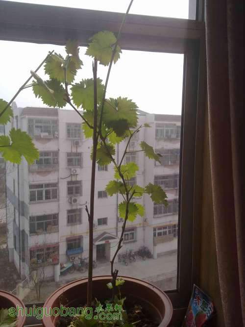 20130316687.jpg