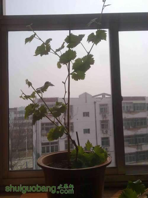 20130316691.jpg