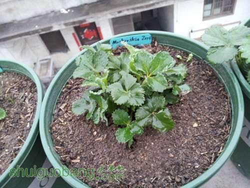 20130316_173355.jpg