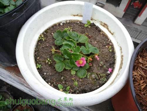 20130316_173841.jpg