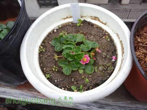 20130316_173844.jpg
