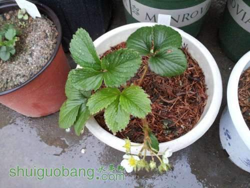 20130316_174251.jpg