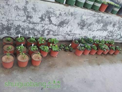 20130316_174416.jpg