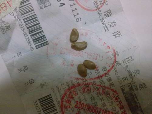 20130316583.jpg