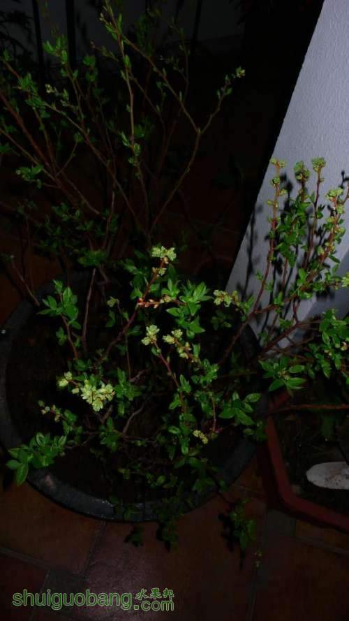 P1050023.JPG