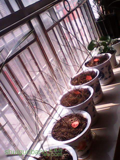 IMG00531.jpg