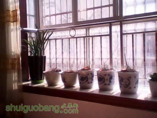 IMG00532.jpg