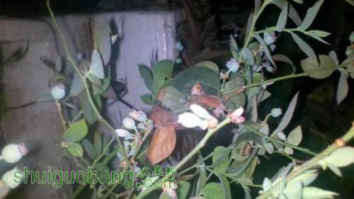 2013-03-17_23-56-11_173.jpg