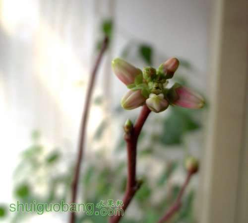 QQͼ20130318081836.jpg