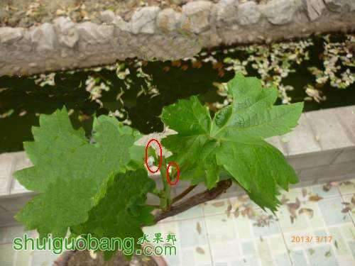 222733yhpudp8apwcdh5cv.jpg