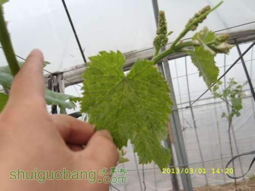 SL273322.JPG