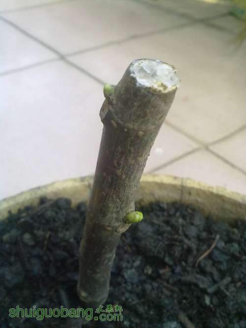 20130319439.jpg