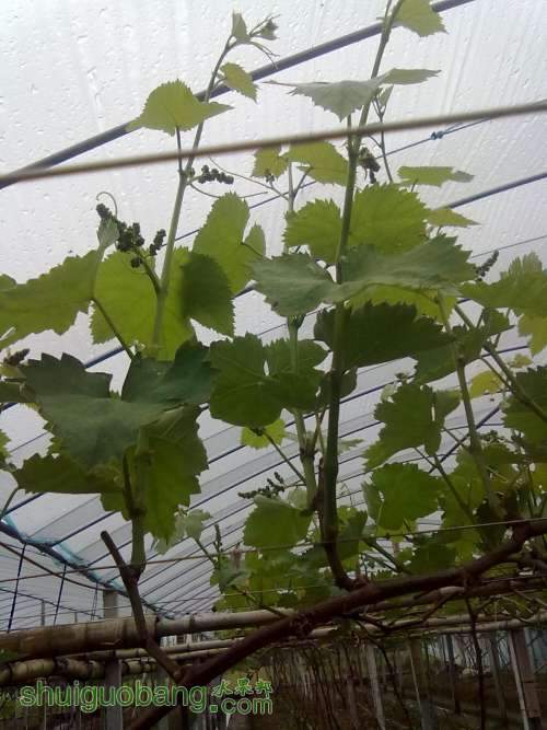 20130319395.jpg