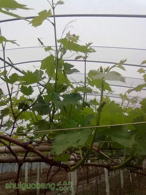 20130319397.jpg