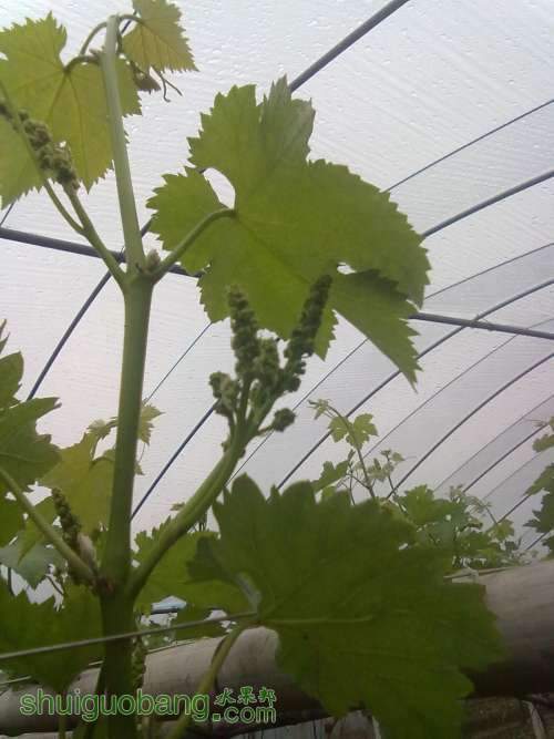 20130319400.jpg