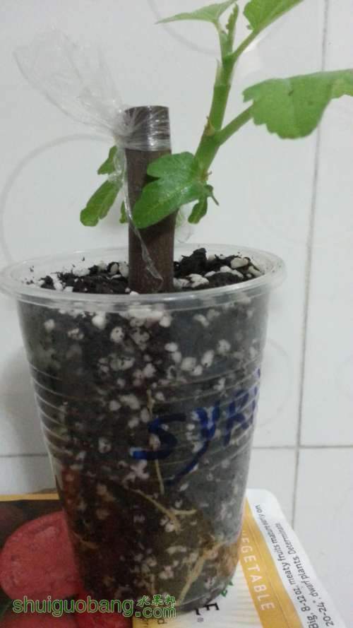 20130320_201158.jpg