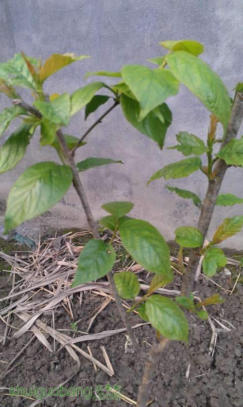 IMAG0396.jpg