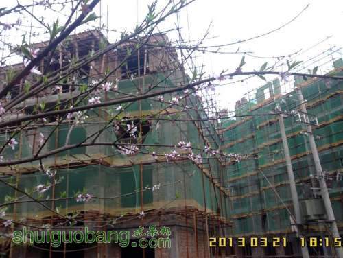 IMG00989-.JPG