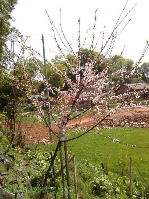 IMG00201.JPG