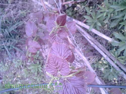 IMG_20130322_175919.jpg