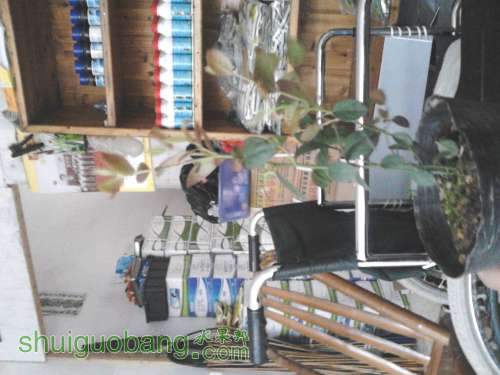IMG_20130319_163943.jpg