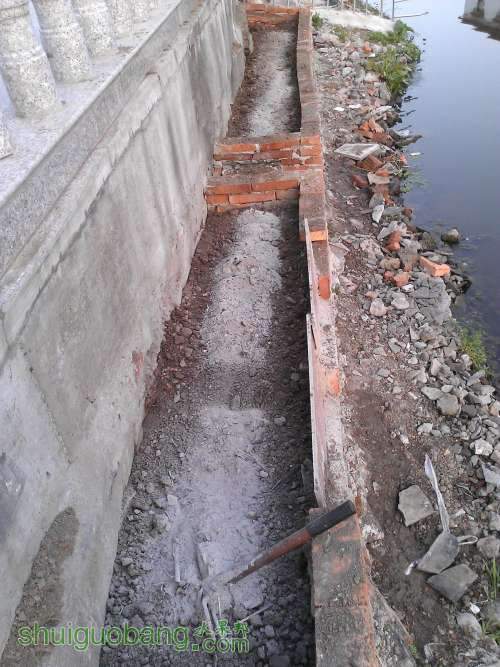 WP_000680.jpg