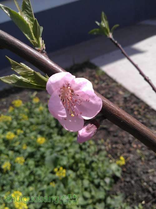 WP_000690.jpg
