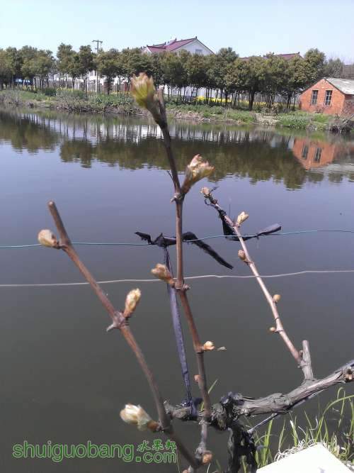WP_000695.jpg