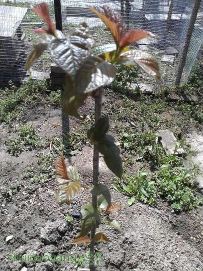WP_000750.jpg