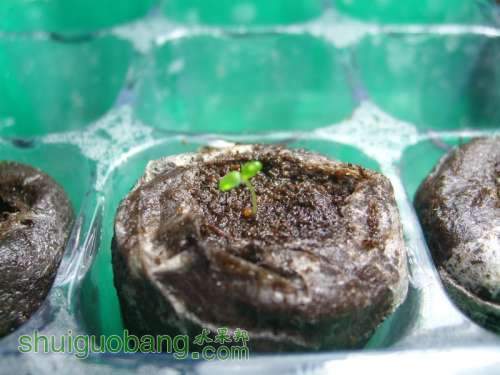 ����2 (1).jpg