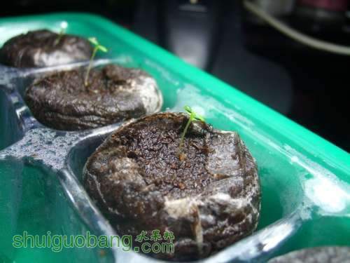 ����2 (2).jpg