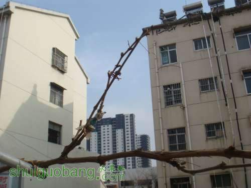 DSC03322.JPG