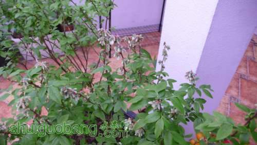 P1050069.JPG