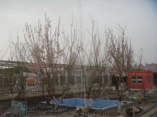 DSC08973-0.jpg