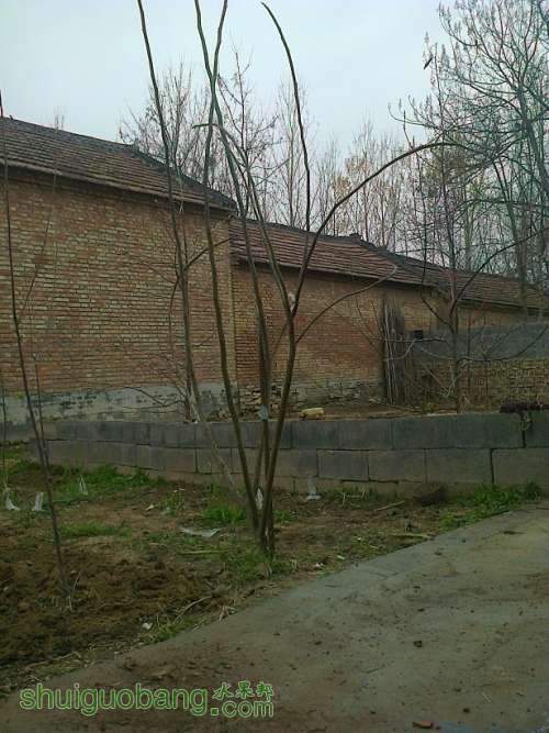 ��Ƭ0099.jpg