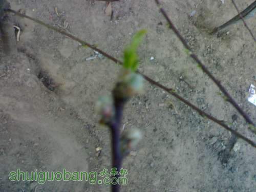 UC_Photo_1.jpg